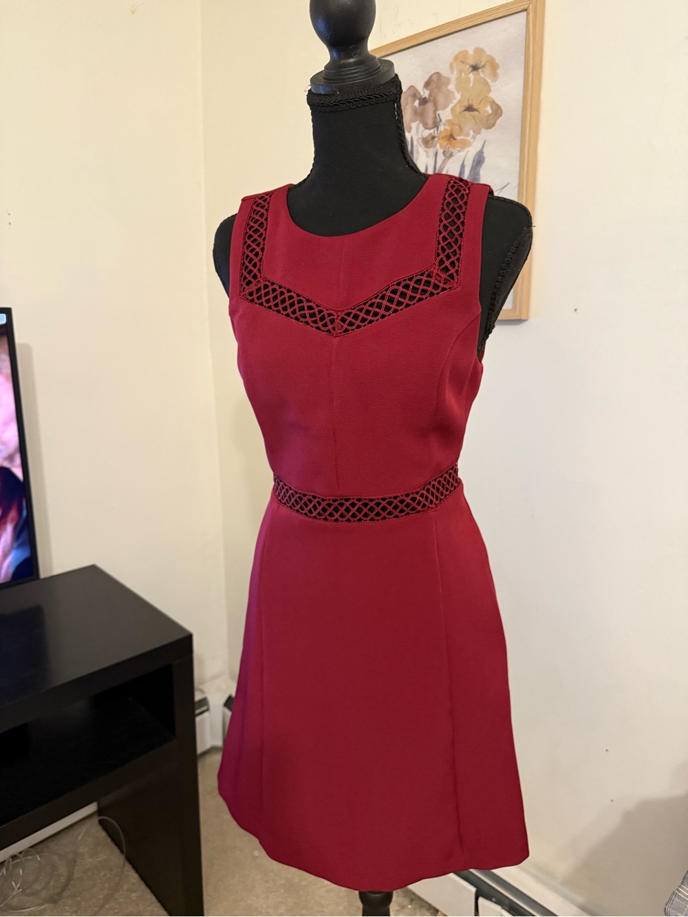 Express Size 2 Burgundy Lace Inset Fit & Flare Cocktail Dress